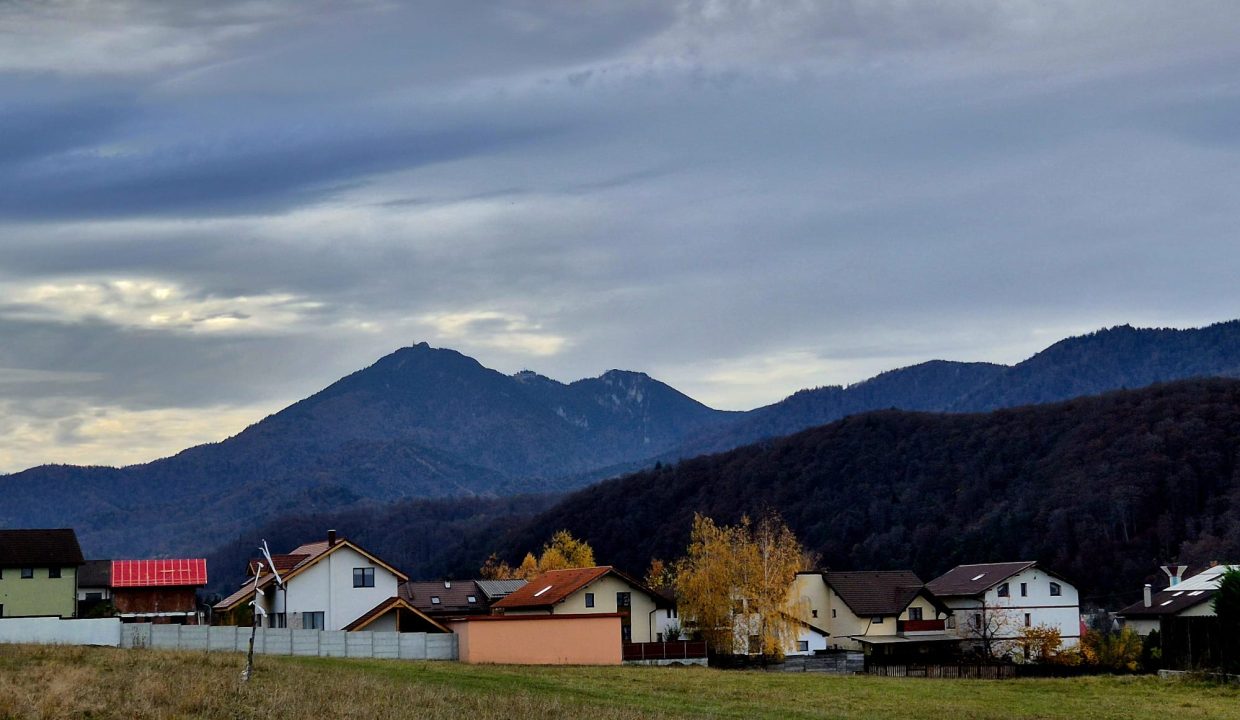 WhatsApp Image 2025-11-04 at 09.02.17_3ea053f2