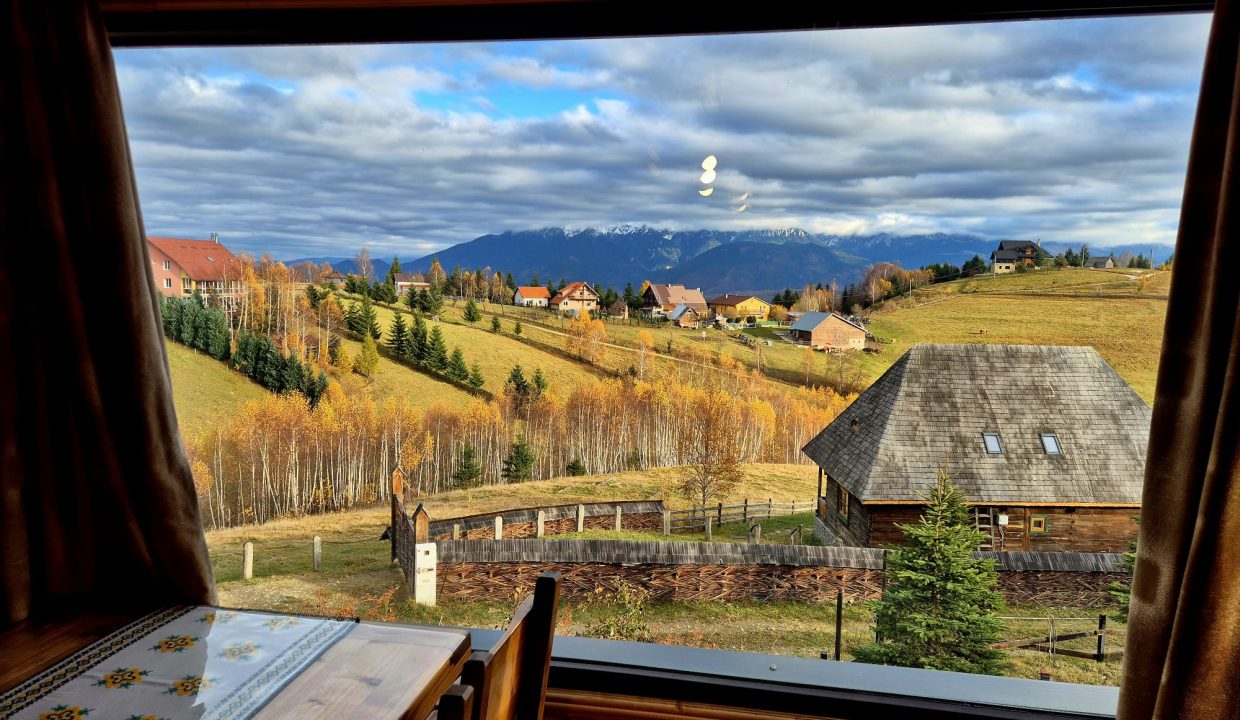 WhatsApp Image 2026-01-26 at 13.01.50