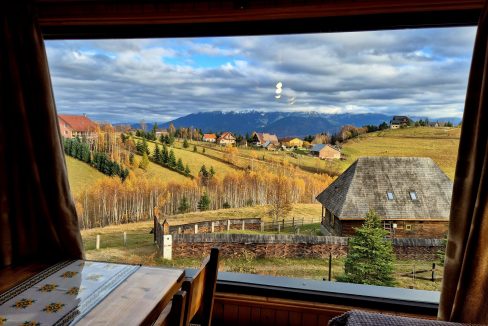 WhatsApp Image 2026-01-26 at 13.01.50